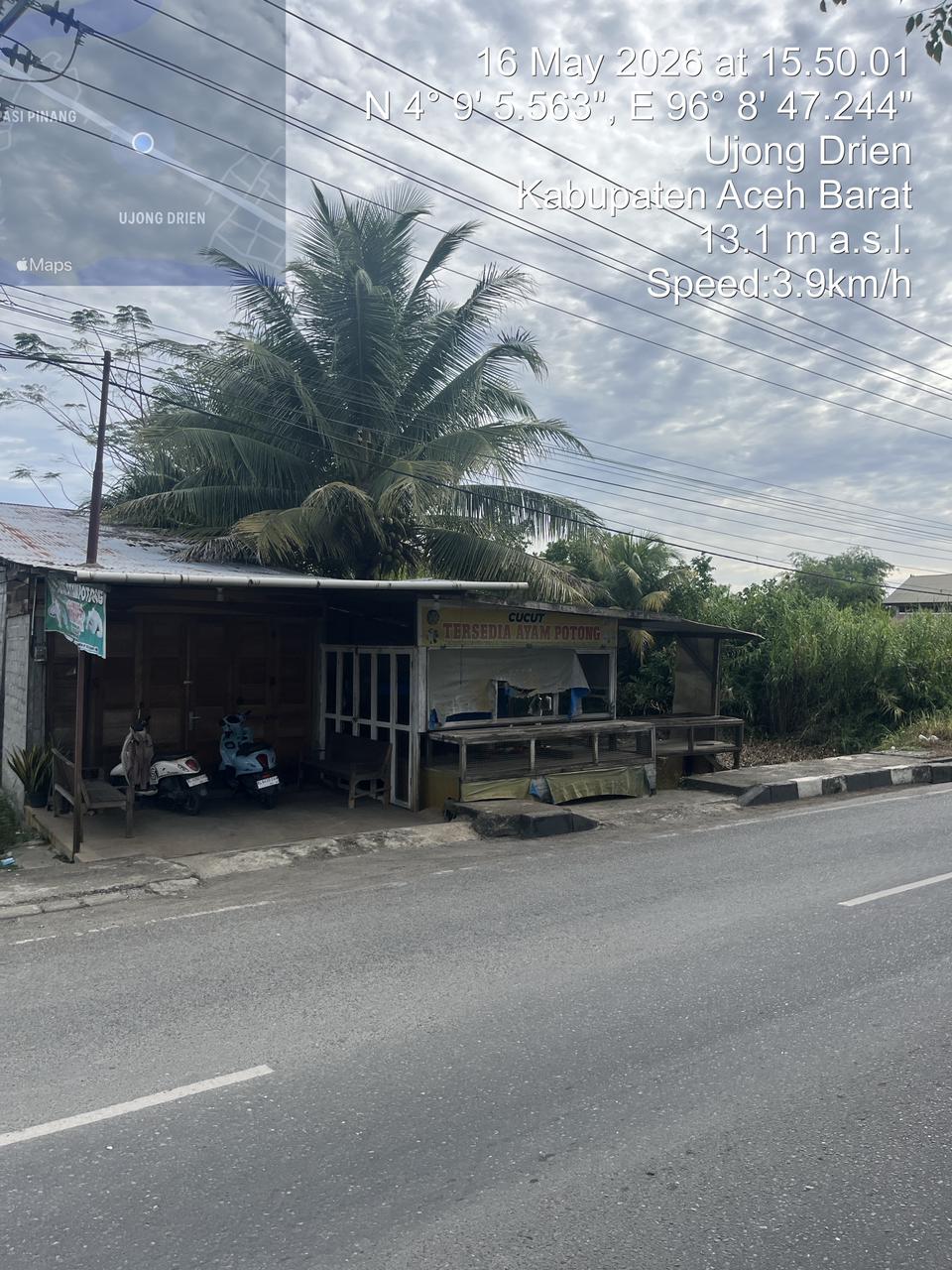 Ayam Potong